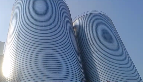 王屋镇2座混凝土高架卷板仓